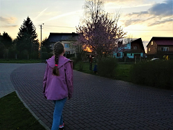 52