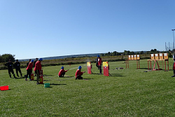 52