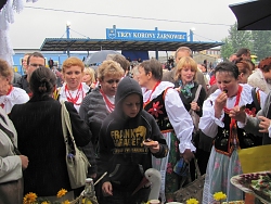 dni-zarnowca