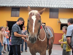 26