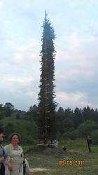 36