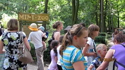 70