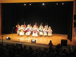 gok-na-koncercie-wolbramiacy-i-goscie-