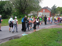 36